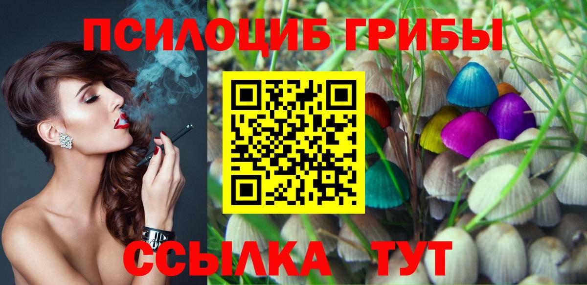 наркотики  Галлюциногенные грибы GOLDEN TEACHER  Отрадное  Вход с VPN  Псилоцибиновые грибы Cubensis 